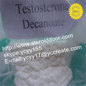 raw Testosterone decanoate powder China exporter