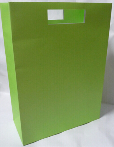paper bag with die-cut handle