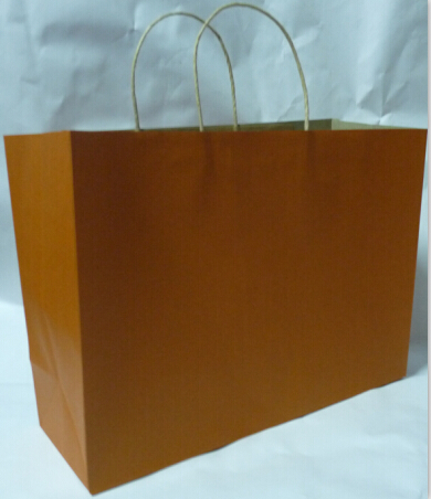 recycled brown paper bag with twist handle