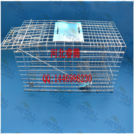 Humane Possum Trap Cage Live Animal Catch Feral Cat Rabbit Cage Trap