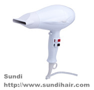 AC motor travel hair dryer