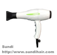 AC motor travel hair dryer