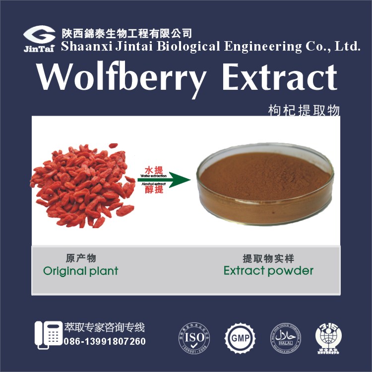 Manufacture Wolfberry Extract goji berry extract