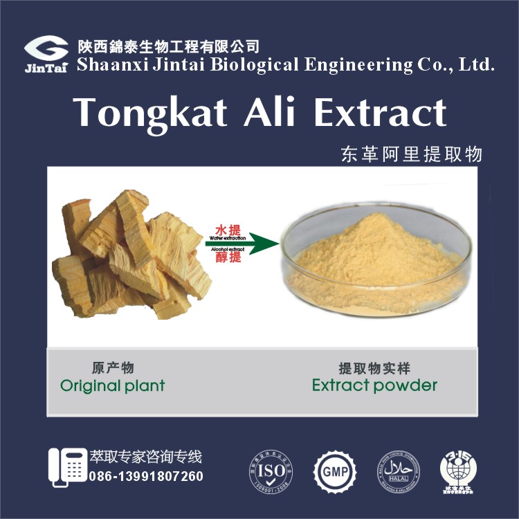 Herbal Male enhancement tongkat ali extract powder Tongkat Ali extract