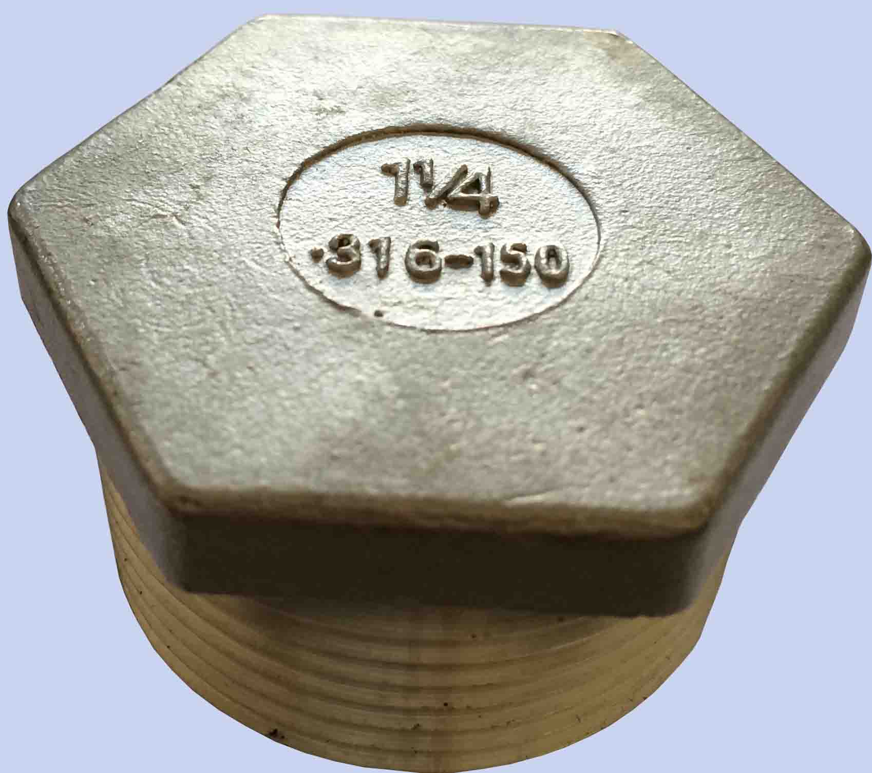 Stainless Steel 304/316 Hex Plug