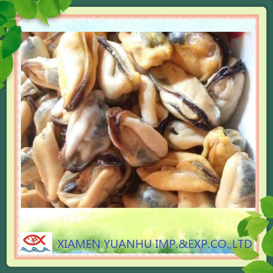 IQF Frozen boiled blue mussel without shell 