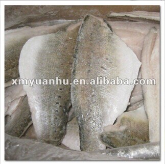 frozen pacific ocean nile perch fillet