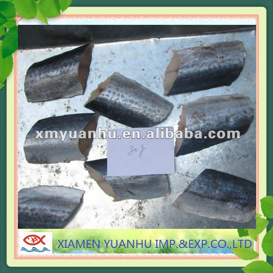 Frozen seafood spanish mackerel fillet  