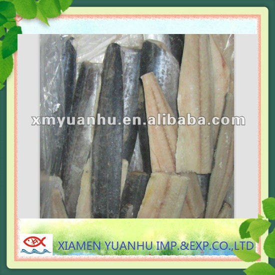Frozen spanish mackerel fillet company  