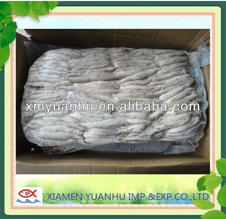 Frozen Bonito Loin Without Blood Meat  