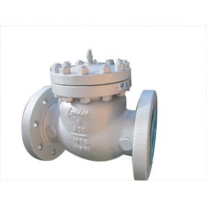 Swing Check Valves