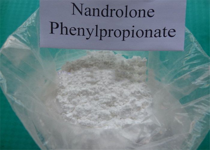 Nandrolone Phenylpropionate Durabolin Bodybuilding Powder CAS: 62-90-8