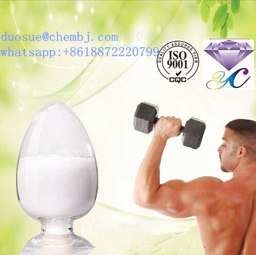Testosterone isocaproate (CAS: 15262-86-9)