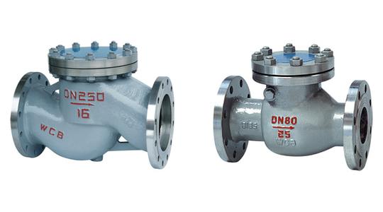 Check Valve  Flange Check Valve