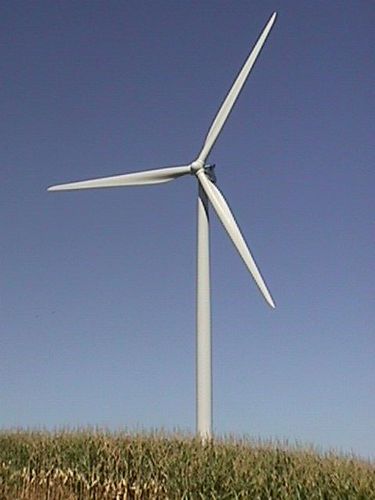 Hot Sale Free Standing Wind Generator 100W