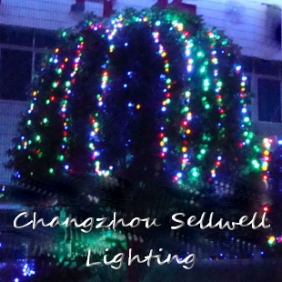 666lamp.comSell Holiday/Celebration/Decoration Bulbs