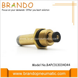 Cng Rail Cylinder Pressure Reducer Solenoid Valve Plunger