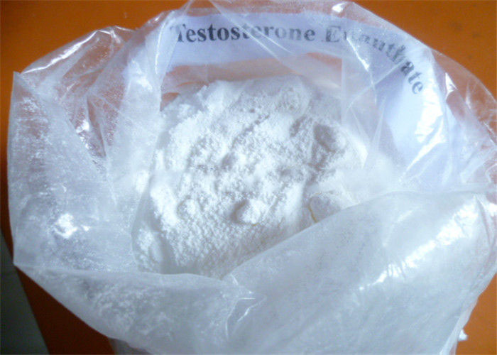 Testosterone Enanthate Test E Muscle Building Steroids Powder