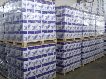 A4,A3,Letter Size Copier Papers 70gsm,75gsm,80gsm & 90gsm