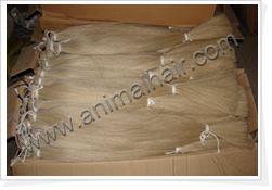 horse tail hair is used for rocking horse  