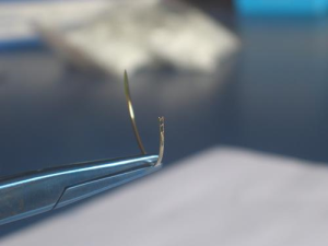 Suture Needle Spring Eye