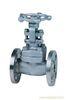 & quot;H& quot; Type Wedge Stainless Steel / Cast Steel Gate Valve Flexible JIS 10K 20K