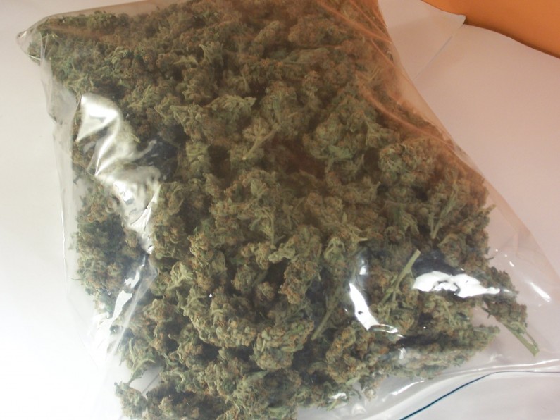Weed, Kush, OG Kush, Cannabis, Marijuana, Green Crack. Skype: apteka.healthcare