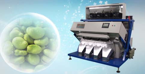 broad bean color sorter 