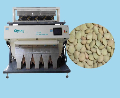 lentil bean color sorter 