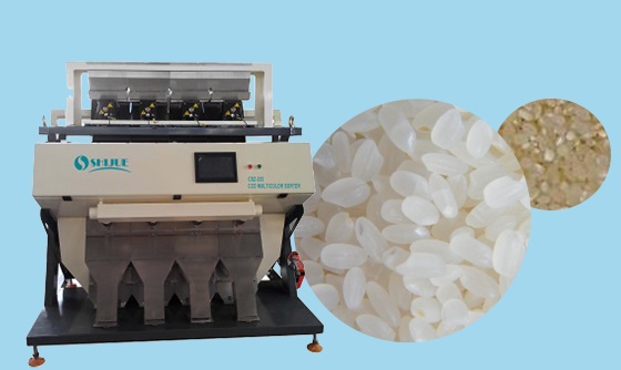 rice color sorting machine 