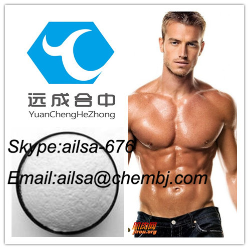 Muscle Building Testosterone Steroid Hormone  