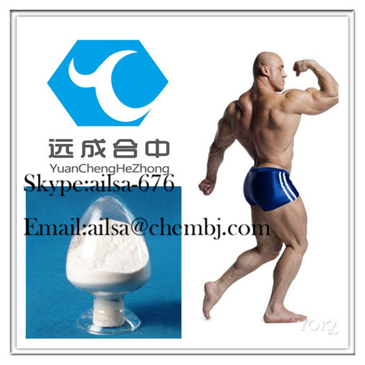 Bodybuilder Anabolic Androgenic Steroids Stanolone Dihydrotestosterone 521-18-6