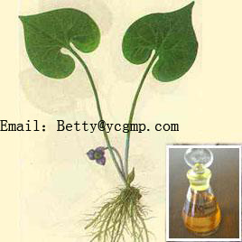 Polygonum cuspidatum extract-China hot-selling plant extract contact person:barry@ycphar.com skype:leerunn
