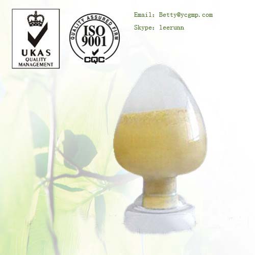 Soybean Lecithin Email:betty@ycgmp.com skype:leerunn