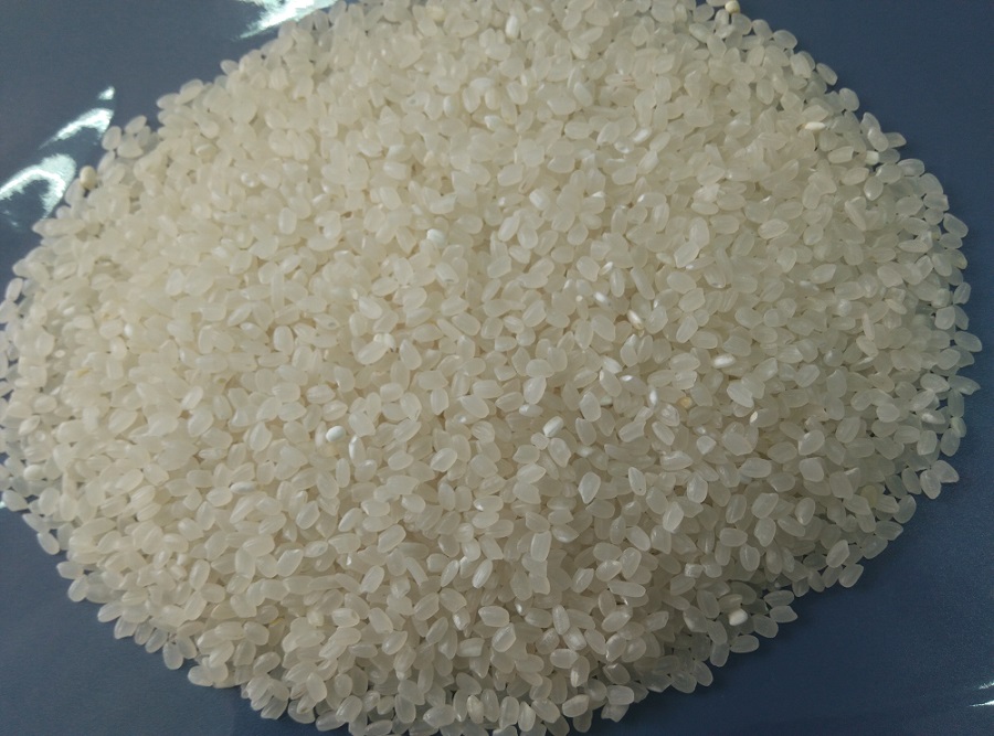 vietnam short round rice,japonica round rice,susi rice