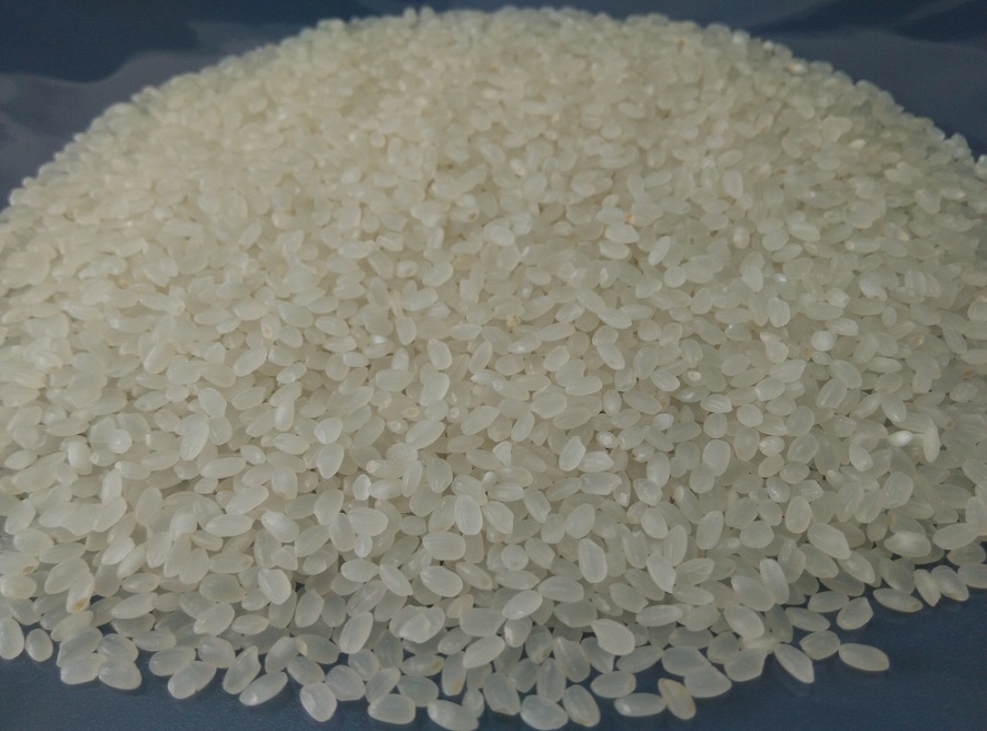 Chinese short round rice,japonica round rice,susi rice