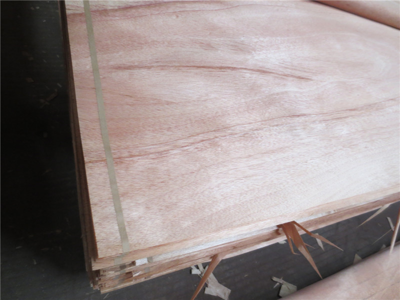 Rotary cut natural wood veneer /face veneer