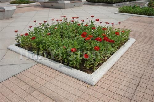 Tree pit surrounds curbstone