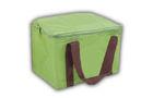 Green Non - Woven Square Insulation Portable Cooler Bag with Brown Handle
