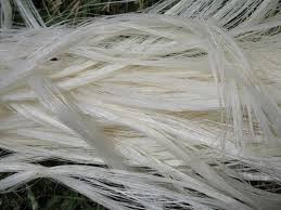 sisal fiber 100% quality from Kenya 