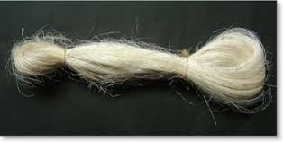 Sisal Fiber UG / SSUG Grades Grades-UG / SSUG