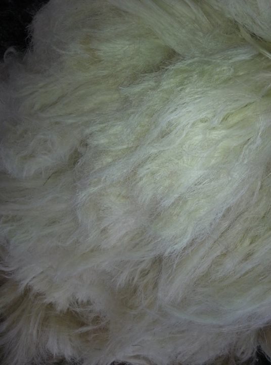 Best price raw natural sisal fibre 