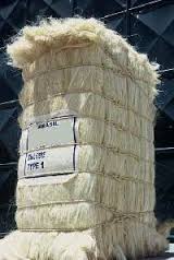 SSUG sisal fiber 100% quality from Kenya