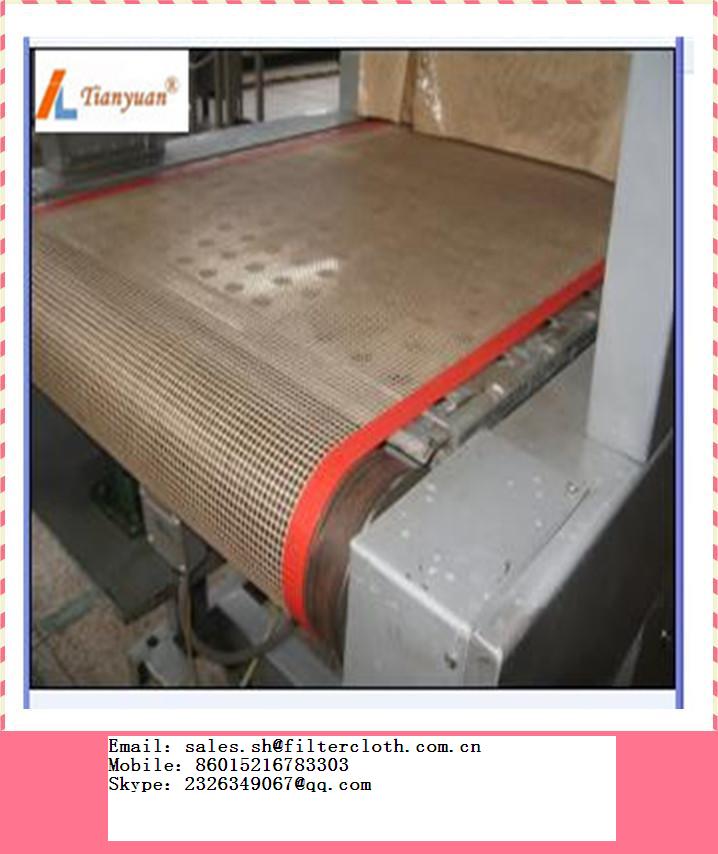 ptee filter Belt