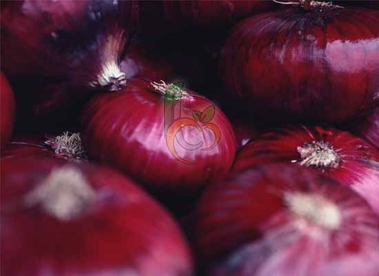 Egyptian Red Onions