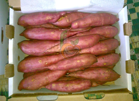 Egyptian Sweet Potatoes 