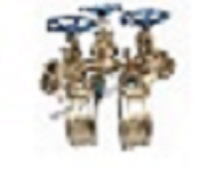 Api600 Bronze Valves