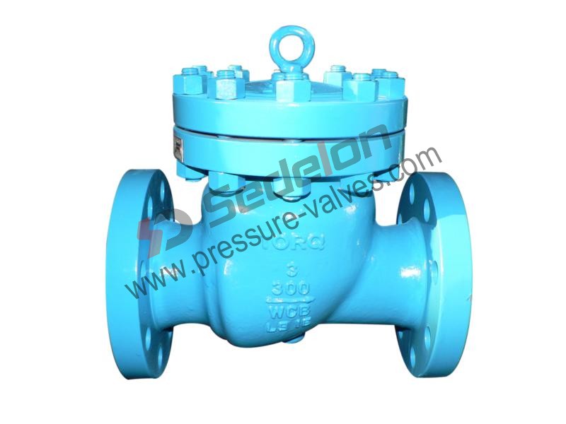 Api 6d Check Valve