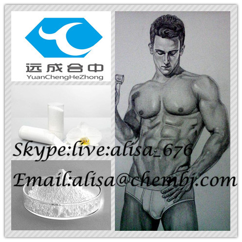 Muscle Building Testosterone Steroid Hormone  