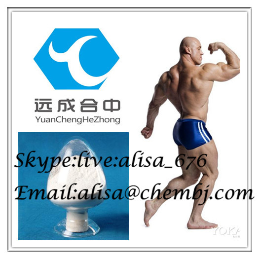 Muscle Growth Test Cyp Testosterone Anabolic Steroids Cypionate for Bodybuilder 58-20-8